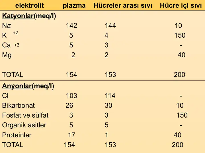 Eski ders slaytı 4; telefon ekranında okunamayacak kadar küçük