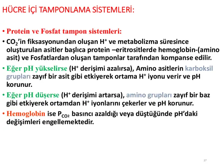 Eski ders slaytı 8; telefon ekranında okunamayacak kadar küçük