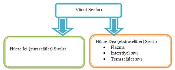 Şekil 6. (kaynak s.10)